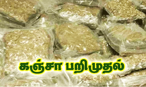 கஞ்சா வைத்திருந்த 2 வாலிபர்கள் கைது