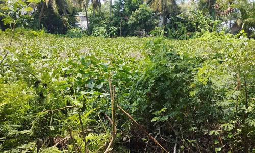 குளத்தை தூர் வாரி ஆக்கிரமிப்பை அகற்ற வேண்டும்-பொதுமக்கள் கோரிக்கை