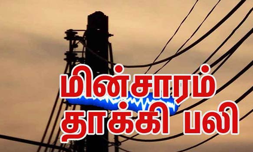 கள் திருட்டு போவதை தடுக்க தென்னை மரத்தில் மின்இணைப்பு கொடுத்தேன்-கைதான விவசாயி வாக்குமூலம்