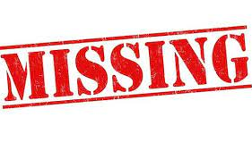 பொள்ளாச்சி அருகே இளம்பெண் திடீர் மாயம்