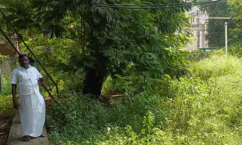 ஓமலூர் அரசு மருத்துவமனையில் முட்புதர்கள் மண்டி கிடக்கும் அவலம்