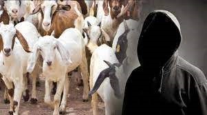 திருவெண்ணைநல்லூர் அருகே  கொட்டகையில் அடைக்கப்பட்ட  15 ஆடுகளை திருடிய கும்பல்