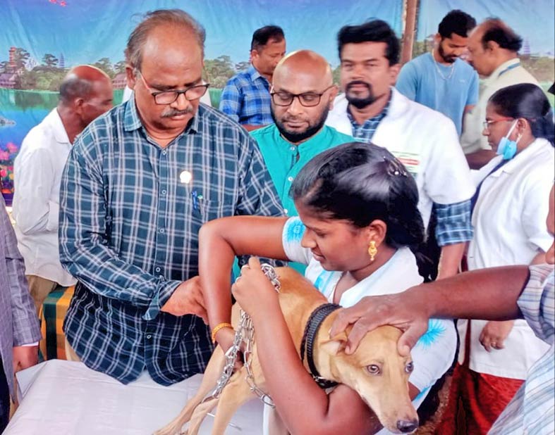 நெல்லை, தென்காசியில் 150-க்கும் மேற்பட்ட கால்நடை மருத்துவமனைகளில்  தடுப்பூசி - மண்டல கால்நடை பராமரிப்புத்துறை இணை இயக்குனர் தகவல்