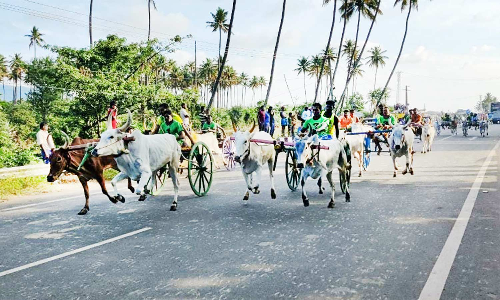 கூடலூரில் கோவில் திருவிழாவையொட்டி இரட்டை மாட்டுவண்டி பந்தயம்