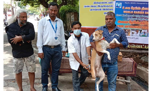 தெரு நாய்களுக்கு ரேபிஸ் தடுப்பூசி