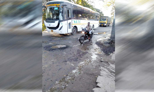 செங்கோட்டை தேசிய நெடுஞ்சாலையில் உள்ள  பள்ளங்களை சீரமைக்க வேண்டும் - வாகன ஓட்டிகள் கோரிக்கை