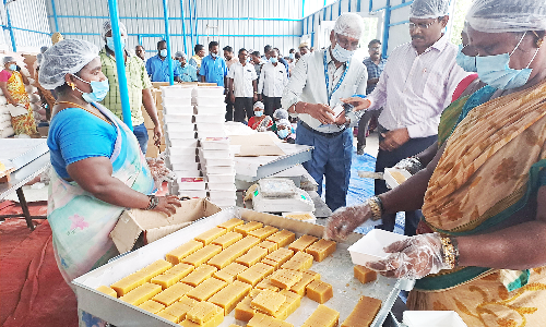 தீபாவளி பண்டிகையை முன்னிட்டு ஆவின் இனிப்பு, காரவகைகள் விற்பனை