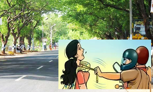 கிரிவலப் பாதையில் பெண்ணிடம் வழிப்பறி