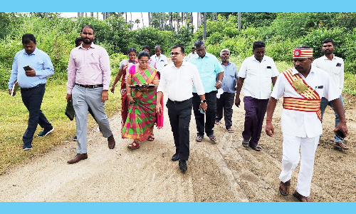 ரெயில்வே மேம்பாலம் அமைப்பதில் மாற்றுப்பாதையை அமைக்க கலெக்டர் ஆய்வு