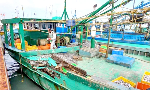 மீனவர்கள் 12 பேரை கடற்படை உதவியுடன் மீட்க நடவடிக்கை