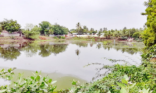 பெரியகோவில் குளத்தை சீரமைக்க வேண்டும்