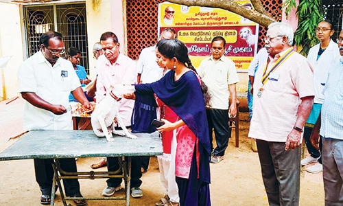 நாய்களுக்கு வெறிநோய் தடுப்பூசி முகாம்