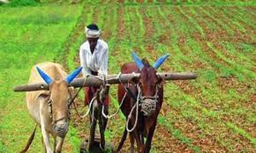 உழவர் உற்பத்தியாளர் நிறுவன ஆண்டு பொதுக்குழு கூட்டம்