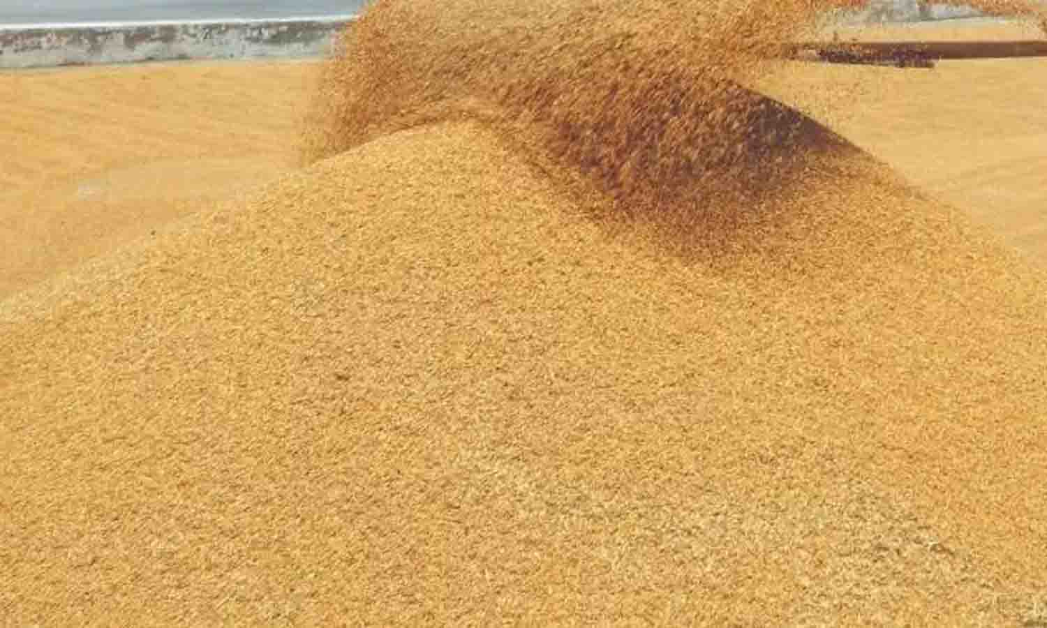 திருப்பூர் மாவட்டத்தில் நாளை 2 இடங்களில் நெல் கொள்முதல் நிலையங்கள் திறப்பு