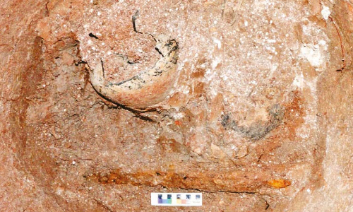 கொந்தகை அகழாய்வில் கிடைத்த முதுமக்கள் தாழியில் இரும்பு வாள்-குவளைகள்