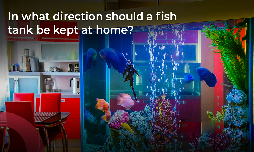 வாஸ்து மீன்களை வீட்டில் வைத்தால் தீரும் பிரச்சனைகள்