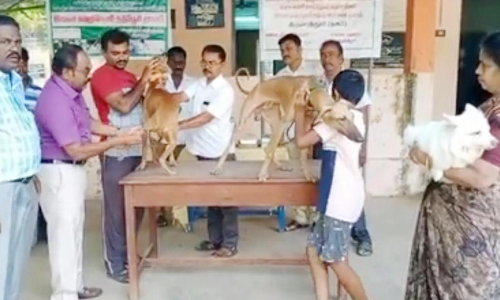 நாய்களுக்கு தடுப்பூசி