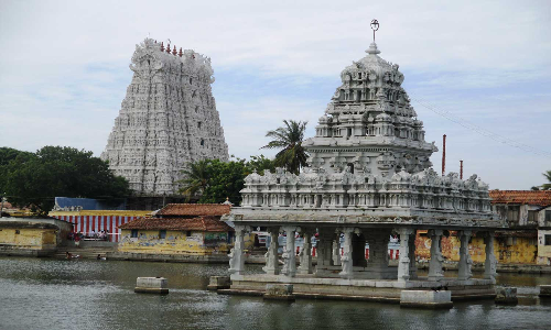 சுசீந்திரம் கோவிலில் அன்னதான உண்டியல் மூலம் ரூ.32 ஆயிரம் வசூல்