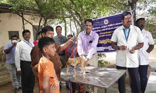 பல்லடத்தில் வெறிநோய் தின தடுப்பூசி முகாம்