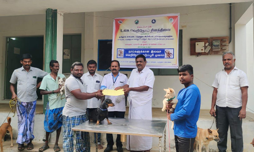 பாண்டமங்கலத்தில் வெறிநாய் தடுப்பூசி முகாம்