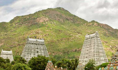 தடையை மீறி அண்ணாமலை உச்சிக்கு சென்ற வாலிபருக்கு அபராதம்