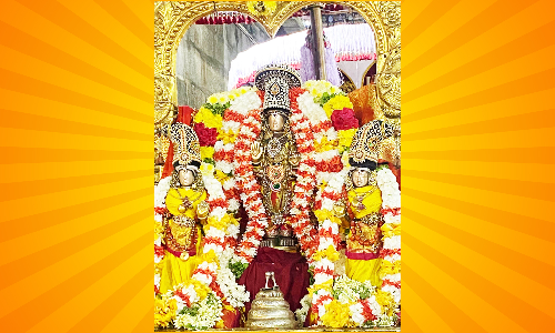 சோளிங்கர் கோவிலில் பக்தோசித பெருமாள் வீதிஉலா