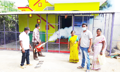 வீடு வீடாக கொசு மருந்து அடிக்கும் பணி