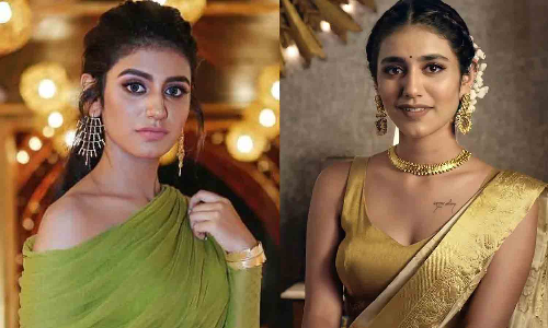 நீச்சல் குளத்தில் கவர்ச்சி காட்டிய பிரியா வாரியர்