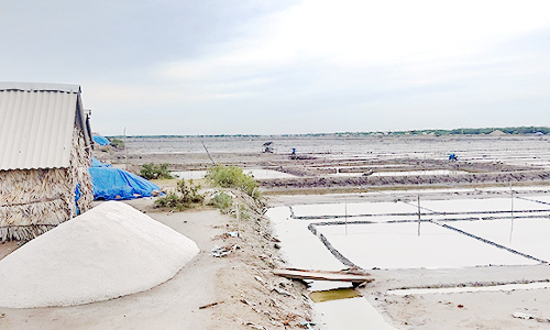 மழை காலம் தொடங்கும் முன்பே முடிவுக்கு வரும் உப்பு உற்பத்தி