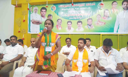 திருப்பூரில் பா.ஜனதா இளைஞர் அணி நிர்வாகிகள் ஆலோசனை கூட்டம்