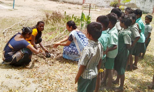 மரக்கன்று நடும் விழா