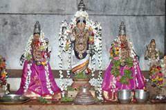 கலியுக வரதராஜ பெருமாள் கோவிலில் சிறப்பு பூஜை கலியுக வரதராஜ பெருமாள் கோவிலில் சிறப்பு பூஜை