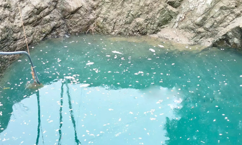 விவசாய கிணற்றில் செத்து மிதந்த மீன்கள்