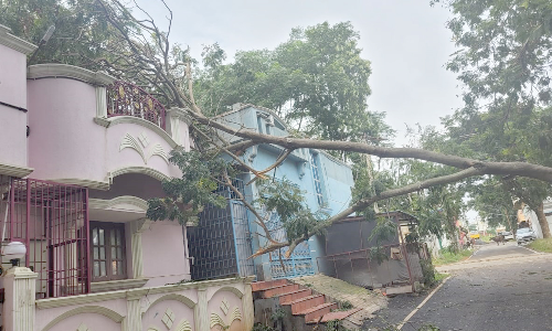 ஓசூர் - ராயக்கோட்டை சாலையில்  குடியிருப்பு மீது முறிந்து விழுந்த மரம்