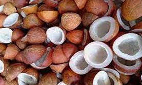 ஆனைமலை ஒழுங்குமுறை விற்பனை கூடத்தில் 4-ந் தேதி கொப்பரை ஏலம் ரத்து