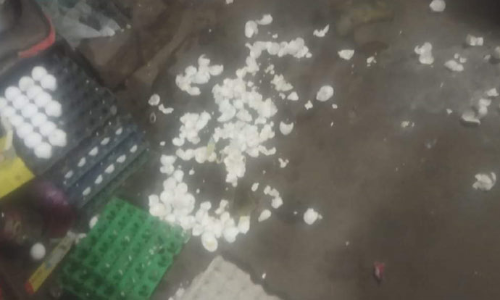 மஞ்சூர் அருகே டீக்கடைக்குள் புகுந்து முட்டைகளை உடைத்து குடித்த கரடி