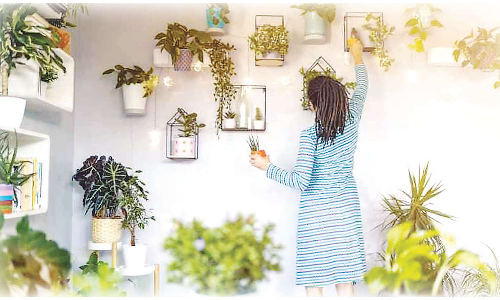 பெண்கள் கொக்கிடமா செய்து வீட்டில் இருந்து லாபம் ஈட்டலாம்...