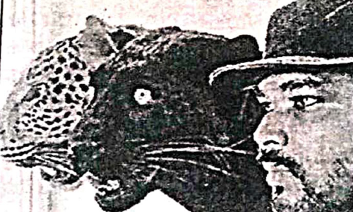 வளர்ப்பு சிறுத்தைகளுடன் உக்ரைனில் தவிக்கும் ஆந்திர டாக்டர்