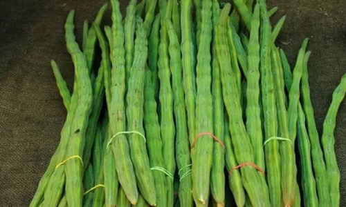 வெள்ளகோவில் சந்தையில் முருங்கைக்காய் விலை  கிலோவுக்கு ரூ.15 உயர்வு