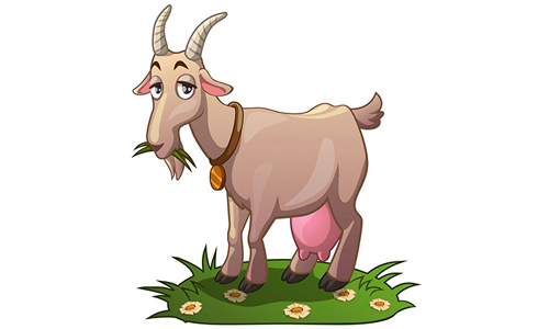 மத்தூர் அருகே சுவாரசியம்:  ஒரு ஆட்டுக்கு சொந்தம் கொண்டாடிய 2 பெண்கள்   சாதுரியமாக தீர்வு கண்ட போலீஸ் இன்ஸ்பெக்டர்