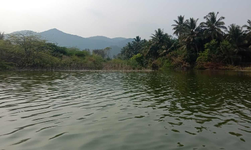 மேட்டுப்பாளையம் அருகே அன்சூர் குளத்தில் டீசல் படகு பயன்படுத்த மீனவர்கள் எதிர்ப்பு