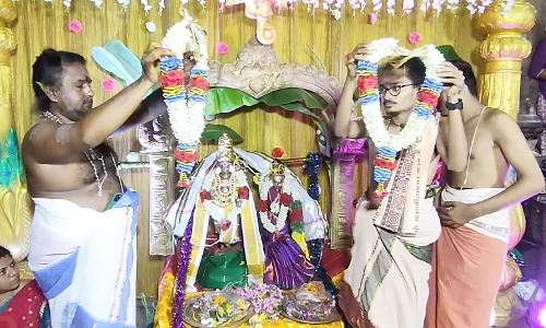 ராஜராஜ சோழீஸ்வரர் கோவிலில் மீனாட்சி திருக்கல்யாணம் நிகழ்ச்சி