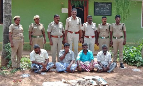 கடையநல்லூர் அருகே மிளா இறைச்சி சமைத்து சாப்பிட்ட  4 பேர் கைது