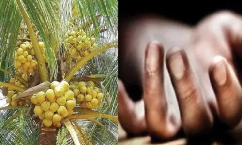 தென்னை மரத்திலிருந்து கீழே விழுந்து வியாபாரி சாவு