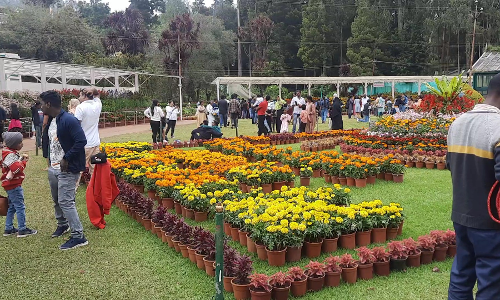 10 ஆயிரம் தொட்டிகளில் பூத்துகுலுங்கும் மலர்செடிகள்