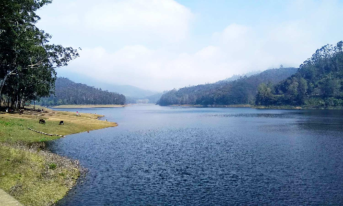 கொடைக்கானல் பேரிஜம் ஏரிக்கு செல்ல மீண்டும் அனுமதி  சுற்றுலா பயணிகள் உற்சாகம்