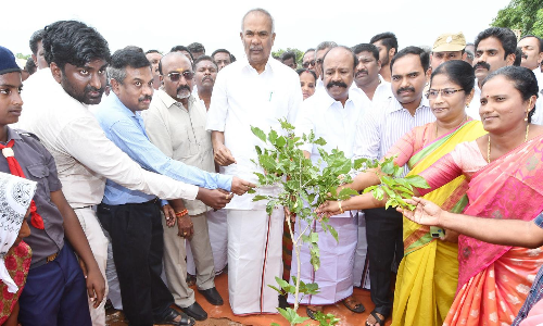 மரக்கன்றுகள் நடும் விழா