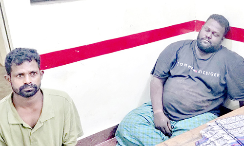 காரில் ஆடுகள் கடத்திய இருவர் கைது