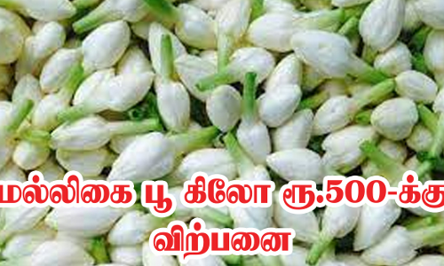 பூக்களின் விலை பாதியாக சரிந்தது