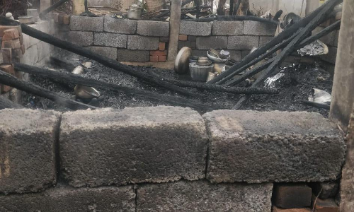 பண்ருட்டி அருகே மின்கசிவால் கூலித்தொழிலாளி வீடு எரிந்து நாசம்